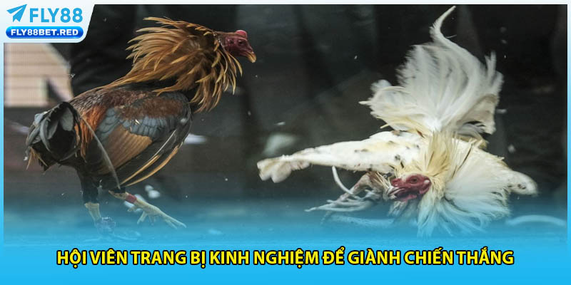 Hội viên trang bị kinh nghiệm để giành chiến thắng